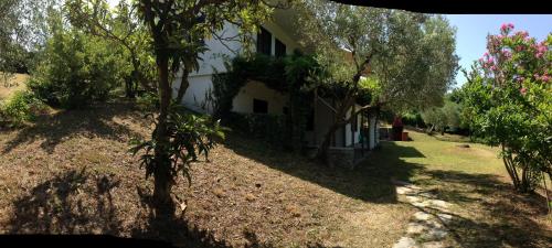 a house in the middle of a yard with trees at Secluded 1.8 acre garden Villa, for exclusive use with Stunning Views. in Kalandra