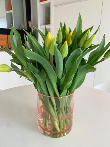 a vase with yellow tulips in it on a counter at Luxe studio/suite met zeezicht en volle zon in Knokke-Heist