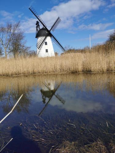 un molino de viento con su reflejo en un cuerpo de agua en gl. Havn BnB, en Bogense