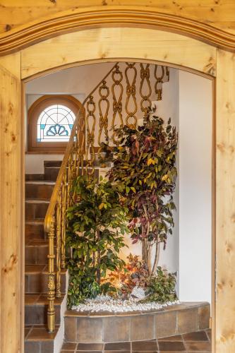 a staircase with a large plant on the wall at Chalet Mountain Plaza - Apt Garden in Pinzolo