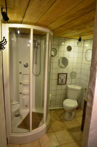 a bathroom with a shower and a toilet at Le petit nid (le MàS du Plot) in Sablières