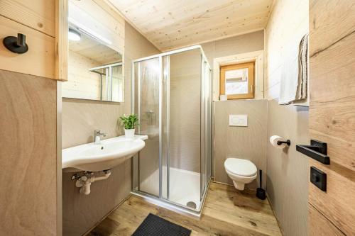 a bathroom with a shower and a sink and a toilet at STAUDACH - Alpinresidenz Zillertal in Ramsau im Zillertal