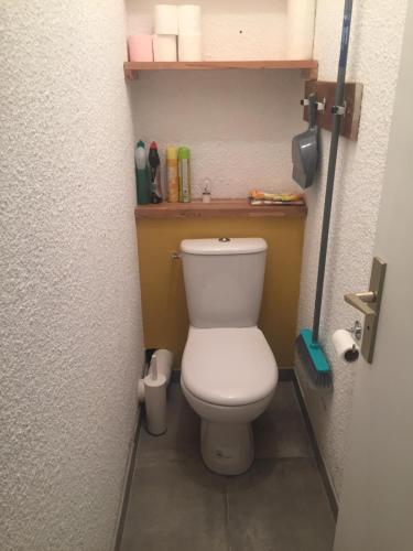 - une petite salle de bains avec toilettes dans une cabine dans l'établissement Saint Gervais - Le Bettex T3 Duplex (1400m d'altitude)/ 55m2 / Vue Mont Blanc - Aux Pieds des Pistes!, à Saint-Gervais-les-Bains