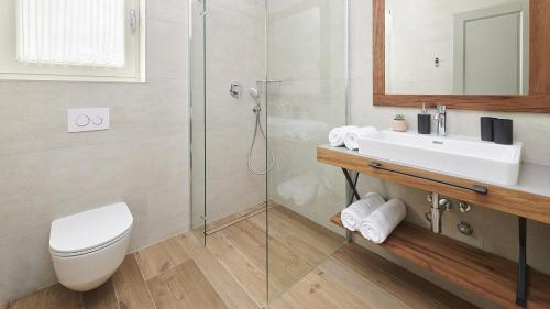 a bathroom with a shower and a toilet and a sink at Villa Grgo by Villas Holiday in Tinjan
