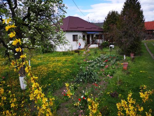 a yard with flowers in front of a house at Casa Livada Bunicii in Târgu Ocna