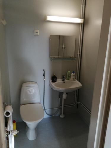 a small bathroom with a toilet and a sink at majoitus in Alavieska