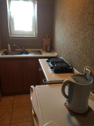 a kitchen with a stove and a cup on top of a refrigerator at Pokoje Jadwiga Konkel in Jastarnia