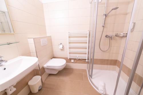 a bathroom with a toilet sink and a shower at Aparthotel Hirschenau in Filzmoos