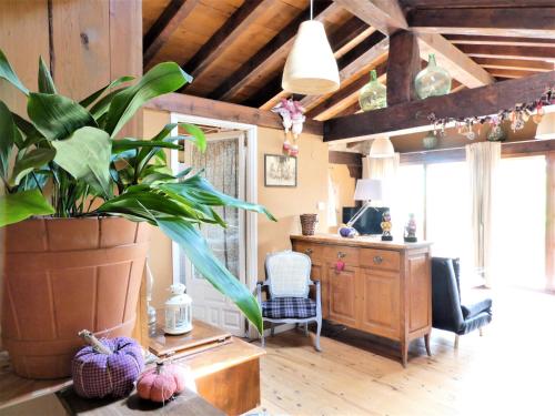 a living room with a plant in a large pot at Casasdetrevijano Mirador de Mateo in Soto en Cameros