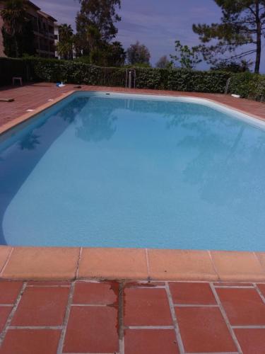 une grande piscine bleue avec un sol en briques rouges dans l'établissement Appt plage et soleil, à San-Nicolao
