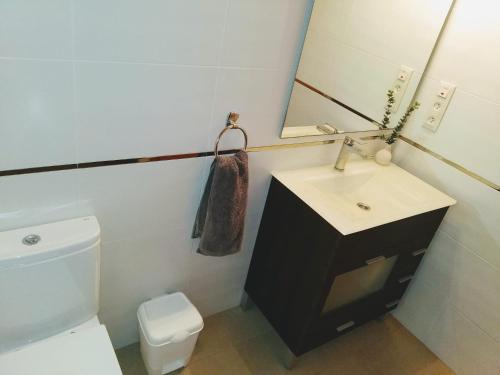 ein Badezimmer mit Toilette, Waschbecken und Spiegel in der Unterkunft Riumar "Josef", 490m to beach, private pool, On-Site-Service, dog beach in Riumar