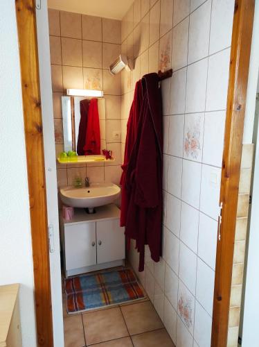 une petite salle de bain avec un lavabo et un miroir dans l'établissement La guguenaie, à Béganne