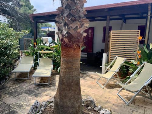 una palmera sentada junto a sillas y una casa en La Dimora in riva al mare, en Vieste