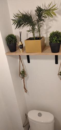 une étagère au-dessus de toilettes avec des plantes dans l'établissement Garibaldi 3 chambres 6 couchages, EASY CHECK-IN, à Nice