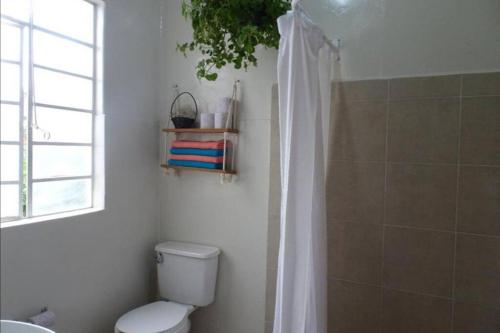 La salle de bains est pourvue de toilettes, d'une douche et d'une fenêtre. dans l'établissement Apto Excelente ubicación., à Mexico