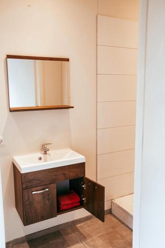 a bathroom with a sink and a mirror at BenB de Buutnboer in Rouveen