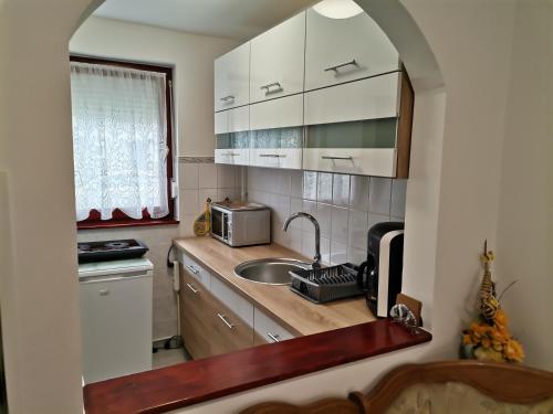 eine kleine Küche mit einer Spüle und einer Mikrowelle in der Unterkunft Aida apartman in Harkány