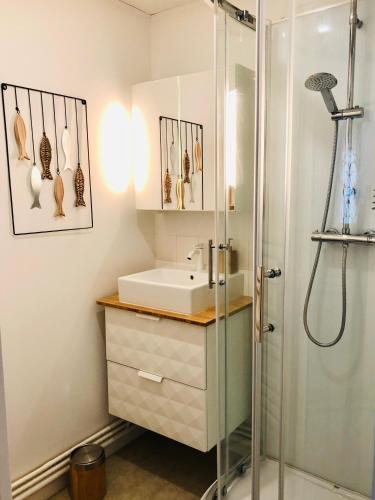 une salle de bain avec un lavabo et une douche dans l'établissement Appartement t2 , bord de mer, accès direct plage, à Saint-Nazaire