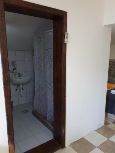 a bathroom with a shower with a sink at Dedin raj in Golubac
