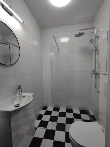 a bathroom with a toilet and a sink and a shower at Domek w Parku Hel in Hel