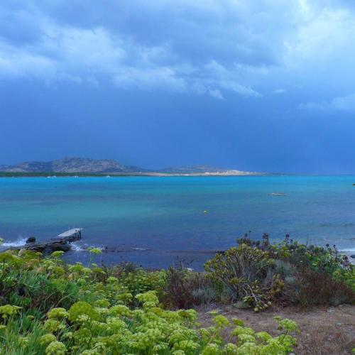 a view of the ocean from the shore of a beach at Villa Curiazzi Guesthouse Viale la Pelosa 16 in Stintino