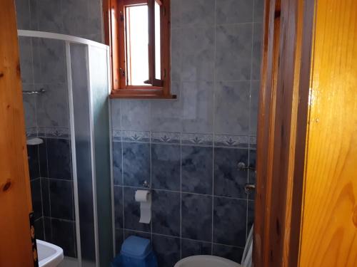 a bathroom with a shower and a toilet and a window at Къща Томови,стаи за гости in Devin