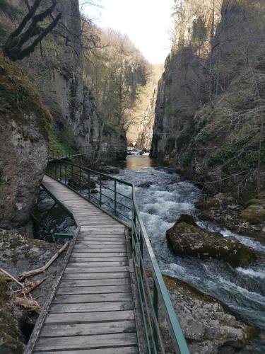 a wooden bridge over a river in a canyon at Къща Томови,стаи за гости in Devin