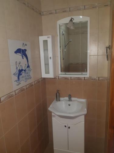 a bathroom with a sink and a mirror at Къща Томови,стаи за гости in Devin