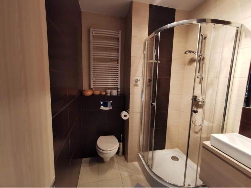a bathroom with a shower and a toilet and a sink at apartament37.pogorzelica in Pogorzelica