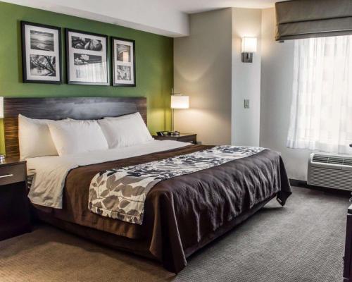 Ένα ή περισσότερα κρεβάτια σε δωμάτιο στο Sleep Inn Richmond North
