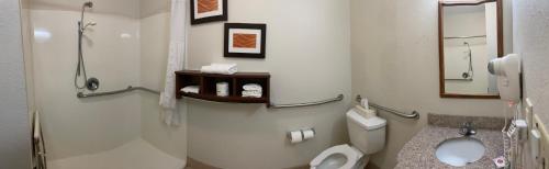 Gallery image of Comfort Inn Downtown - University Area in Kalamazoo