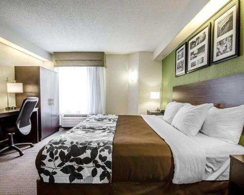 a hotel room with a large bed and a desk at Sleep Inn Louisville Airport & Expo in Louisville