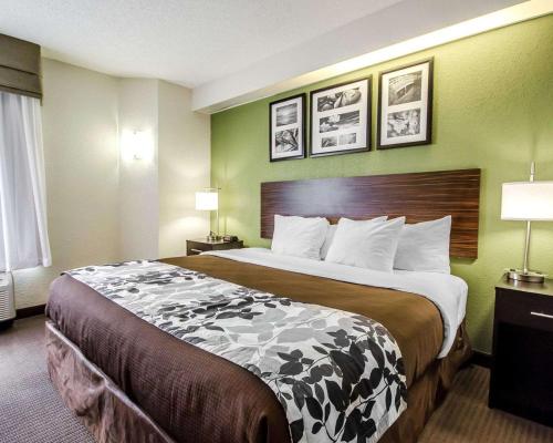 a large bed in a hotel room with green walls at Sleep Inn Louisville Airport & Expo in Louisville