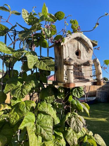 Gallery image of KI Dragonfly Guesthouse in Kingscote