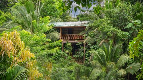 Cabañas del Lagoにある庭