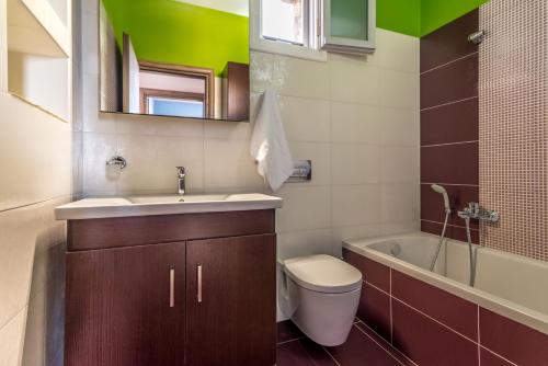 a bathroom with a sink and a toilet and a tub at Stone House Yiota in Plaka Milou