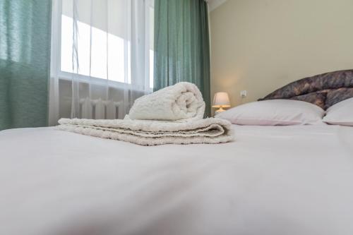 Gallery image of Hotel Sybilla in Puławy