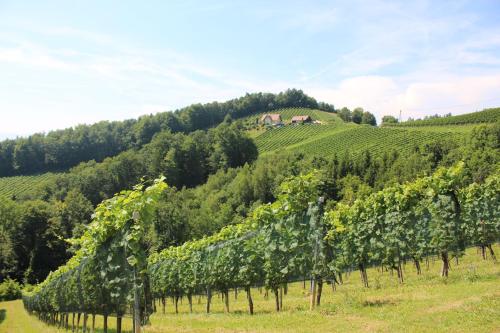 Ferienwohnung FELLNER – Photos 4