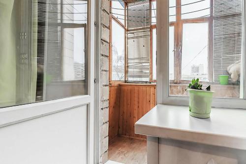 una habitación con ventanas y una maceta en un mostrador en Apartment Hanaka Zeleniy 83, en Moscú