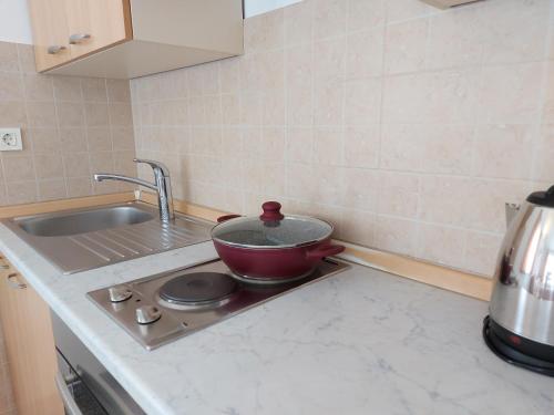 Dapur atau dapur kecil di Apartments Palić