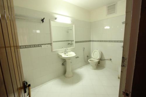 a bathroom with a toilet and a sink and a mirror at Hotel Snow View Manali in Manāli