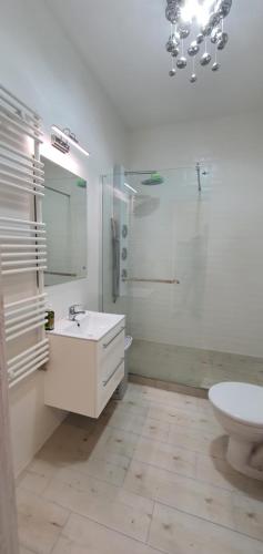 a bathroom with a sink and a shower and a toilet at Apartament Dwa kroki do zatoki in Puck