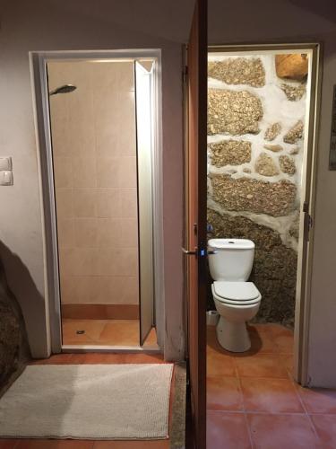 a bathroom with a toilet and a stone wall at Quinta do Sobral de São Geraldo in São Geraldo