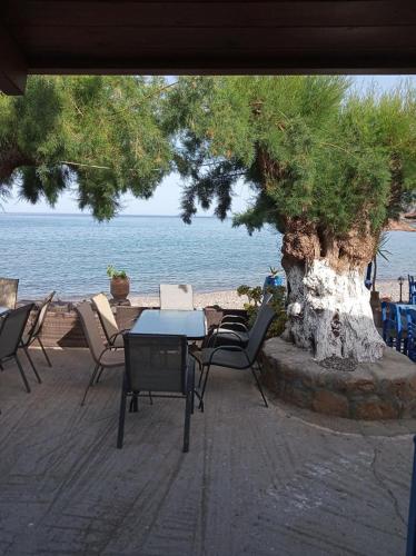 a table and chairs next to a tree and the ocean at Beachfront Apartment Kato Zakros in Káto Zákros
