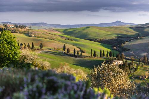 a green valley with trees and a house on a hill at Il Giardino del Cardinale - Deb'S Monticchiello in Monticchiello