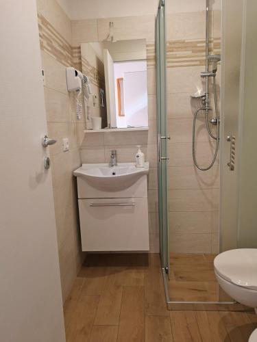 a bathroom with a sink and a shower at Maso Sveseri in Montesover