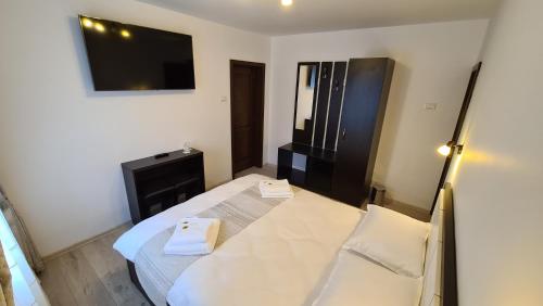 a room with two beds and a television in it at Pensiunea Mădălina in Durau