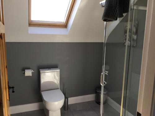 a bathroom with a toilet and a window at Knockaguilla House Bed & Breakfast in Doolin