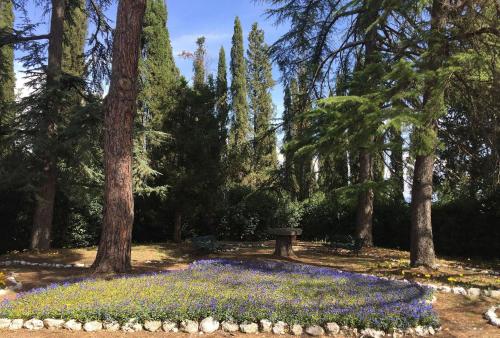 Villa di Montegemoli – Photos 5