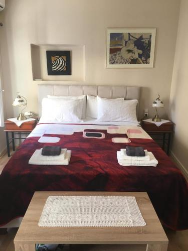 Ellis Old Town Apartment